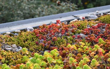 the cost of North Aywick green roof installation