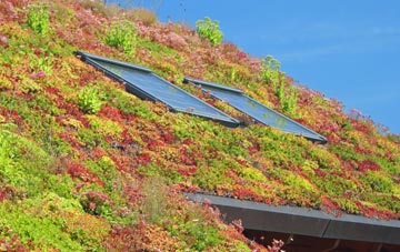North Aywick living roof systems